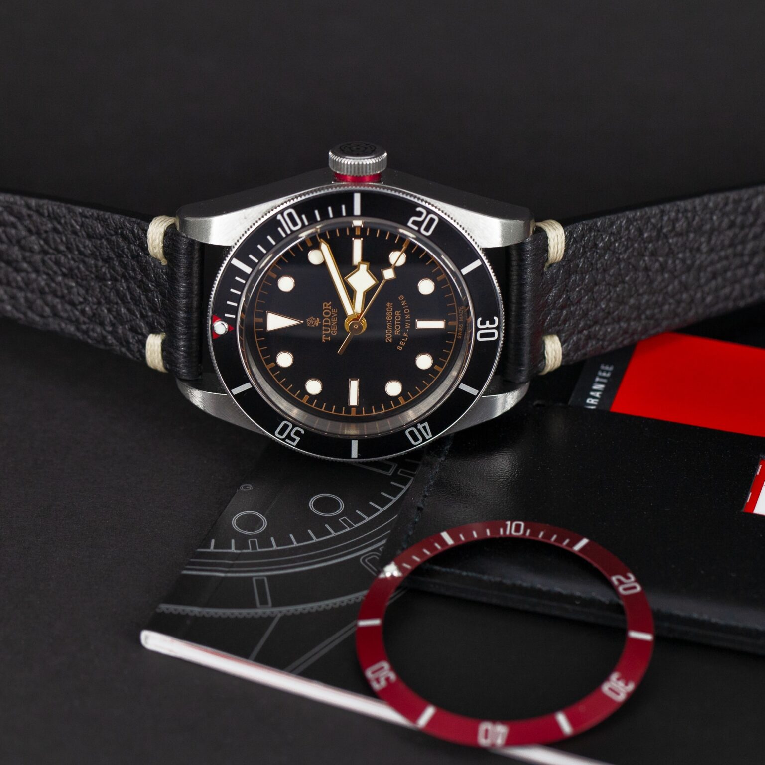 Tudor_Black_Bay_Heritage-1.jpg