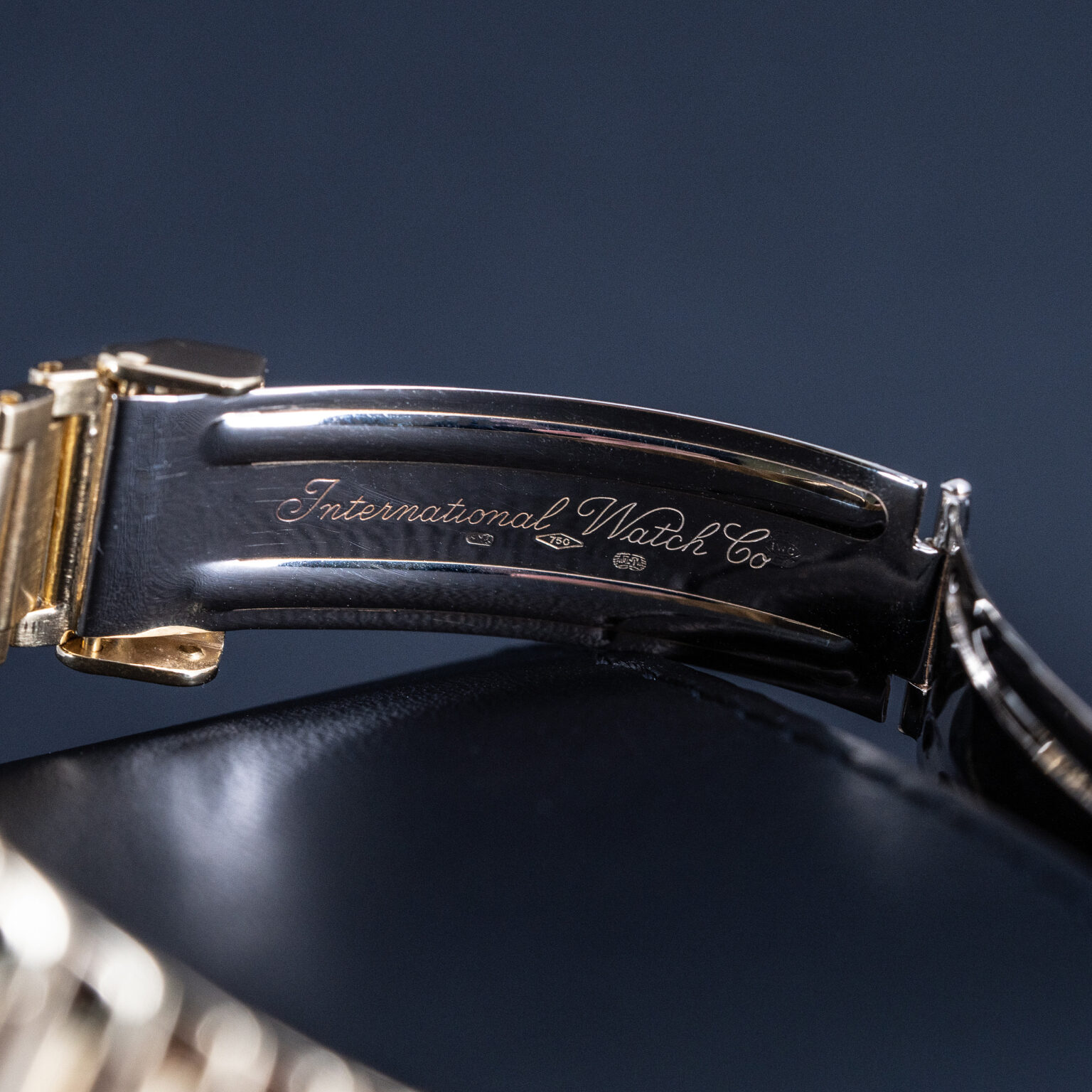 18k_IWC-Ingenieur_Perpetual_Moon_1991-8.jpg