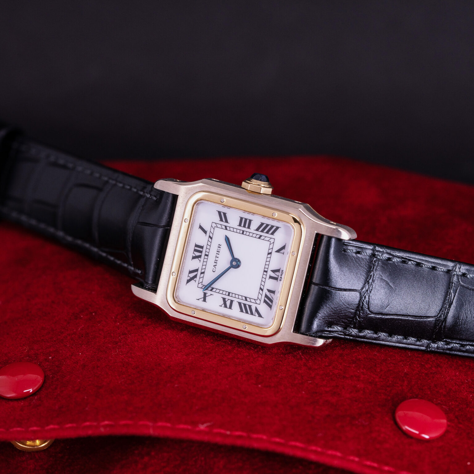 Cartier-Santos-Dumont-7822-2.jpg