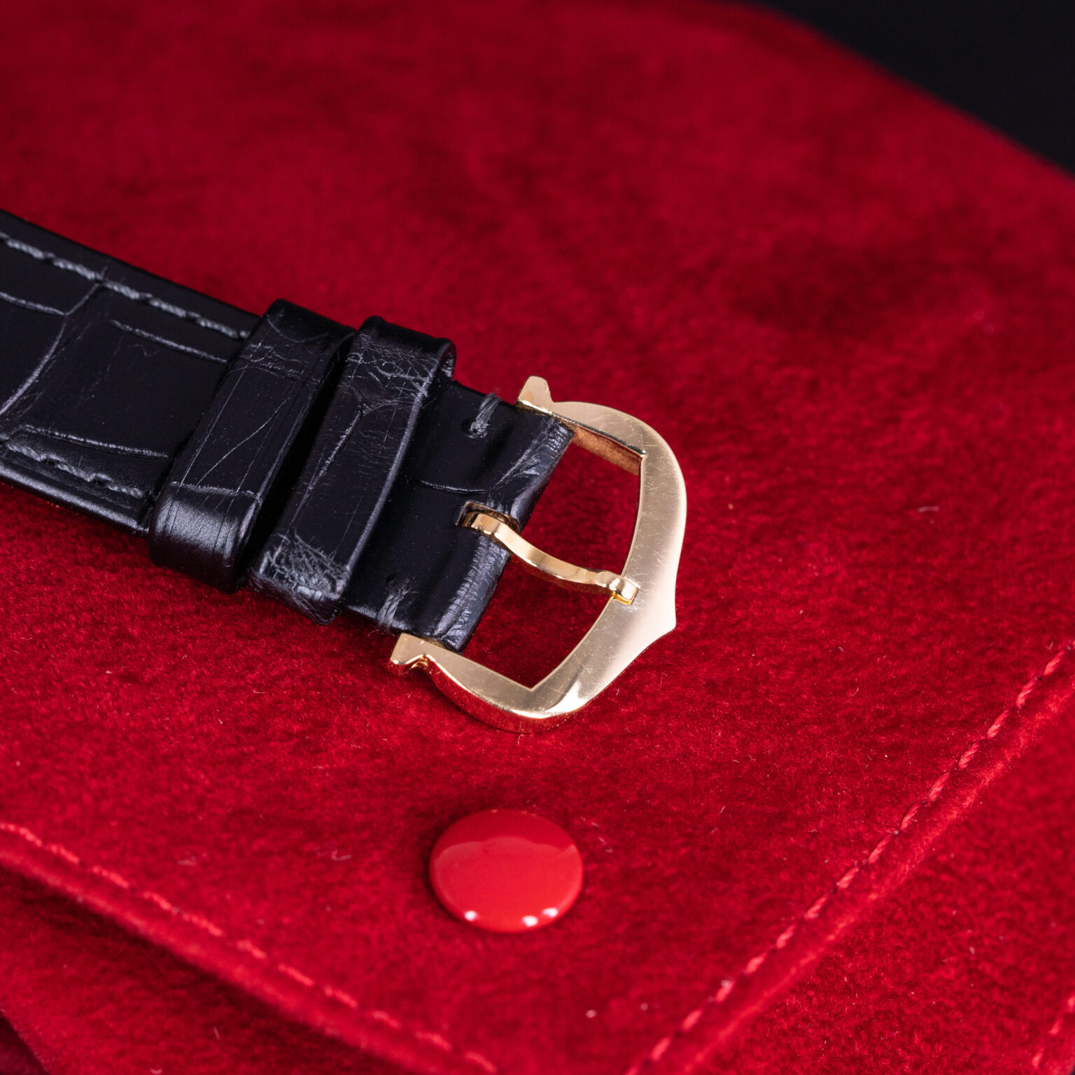 Cartier-Santos-Dumont-7822-4.jpg
