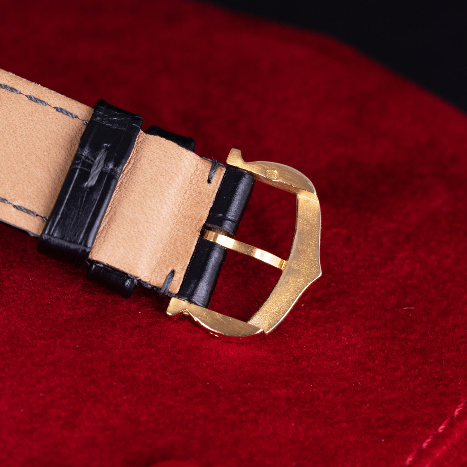 Cartier-Santos-Dumont-7822-5.jpg