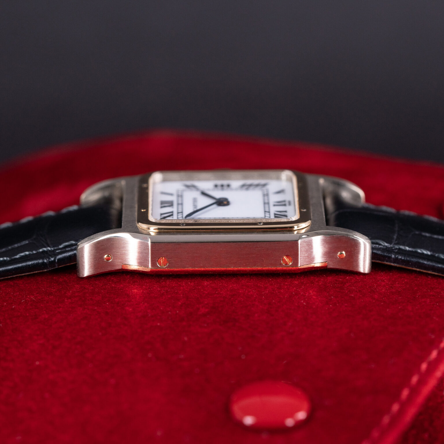 Cartier-Santos-Dumont-7822-9.jpg