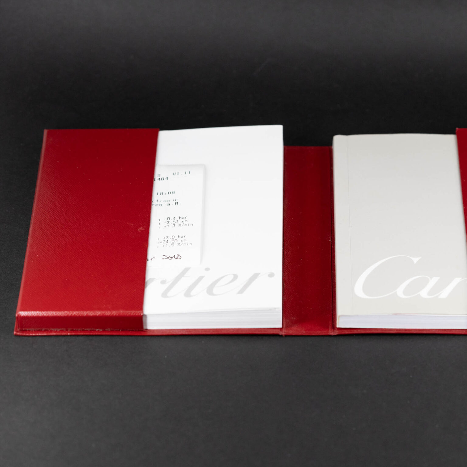 Cartier_Solo-2.jpg