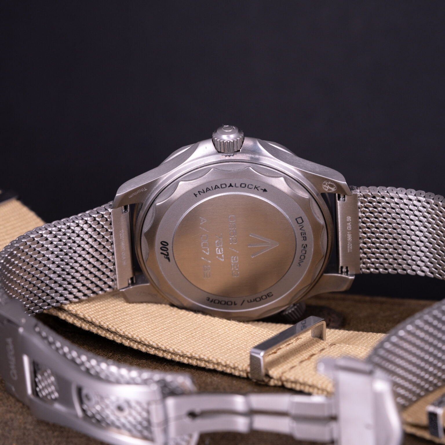 Omega-Seamaster-300-Titanium-Bond-2021-6.jpg