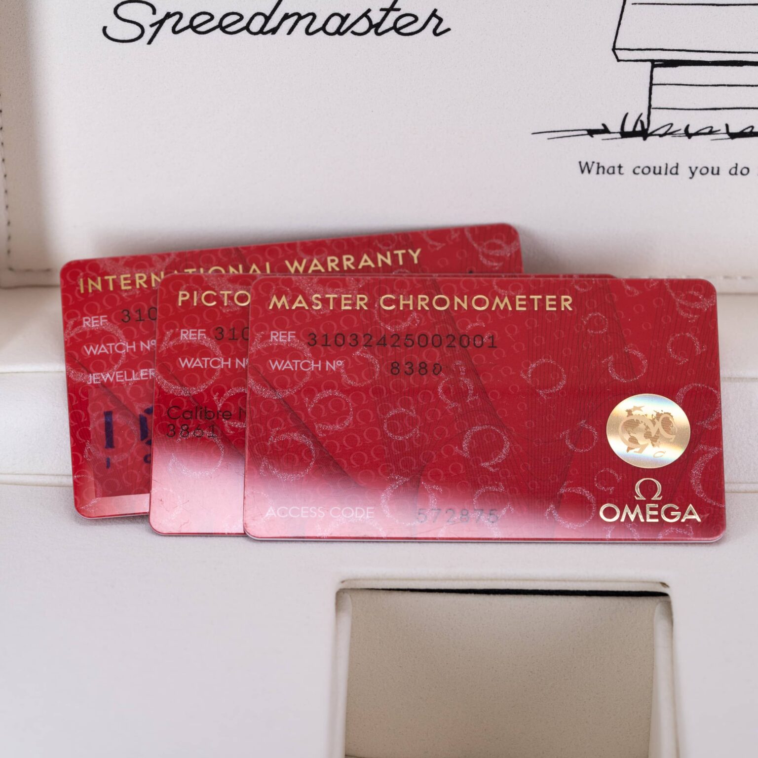 Omega-Speedmaster-50th-Silver-Snoopy-2023-5.jpg