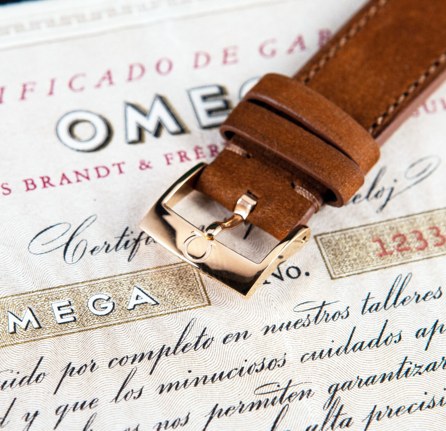 Omega_Automatic_18k_Buenos-Aires-2.jpg