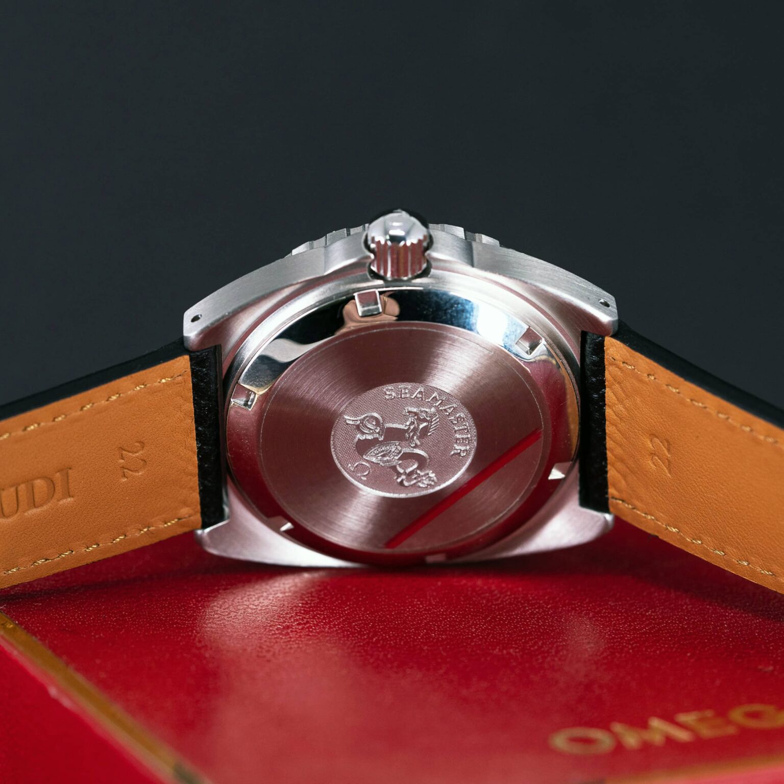 Omega_Seamaster-120_mini-plo-prof-2-1.jpg