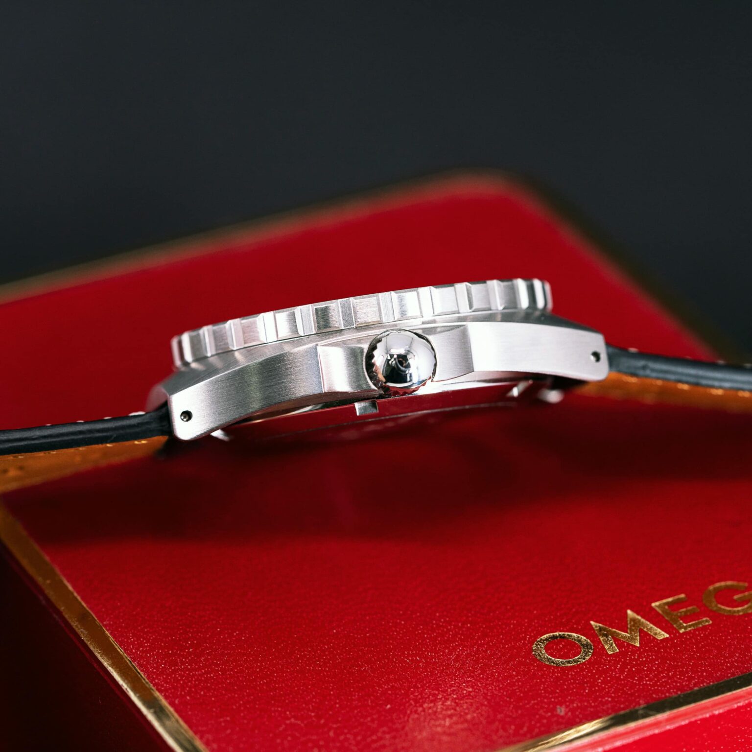 Omega_Seamaster-120_mini-plo-prof-3-1.jpg