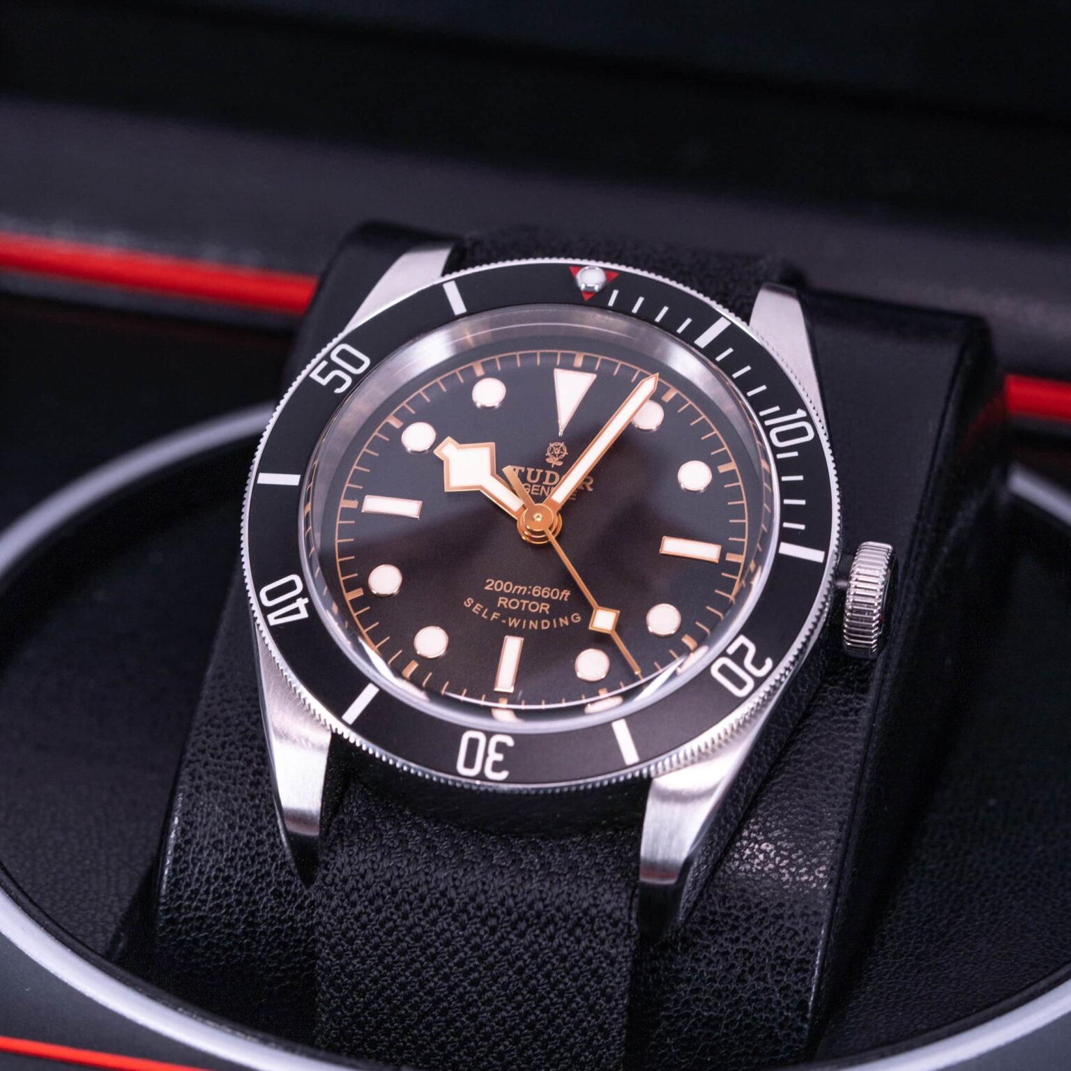Tudor-Black-Bay-79220N-2015-2.jpg