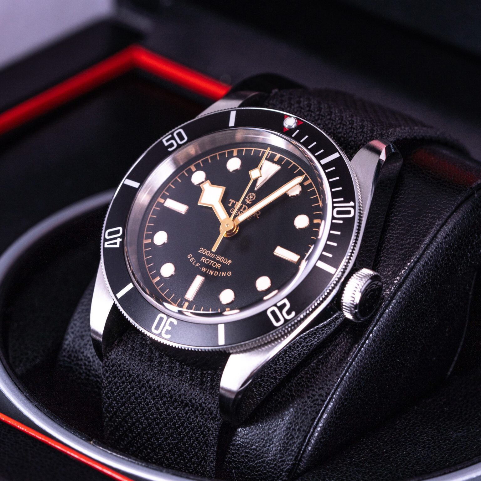 Tudor-Black-Bay-79220N-2015-3.jpg