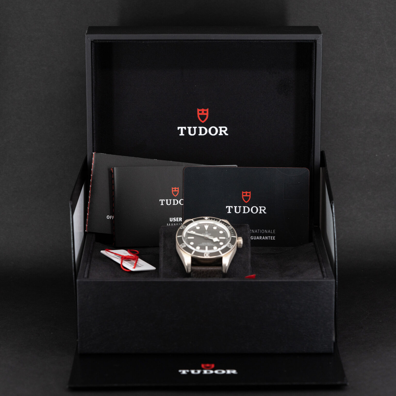 Tudor_BB58_Silver_79010SG_2021.jpg