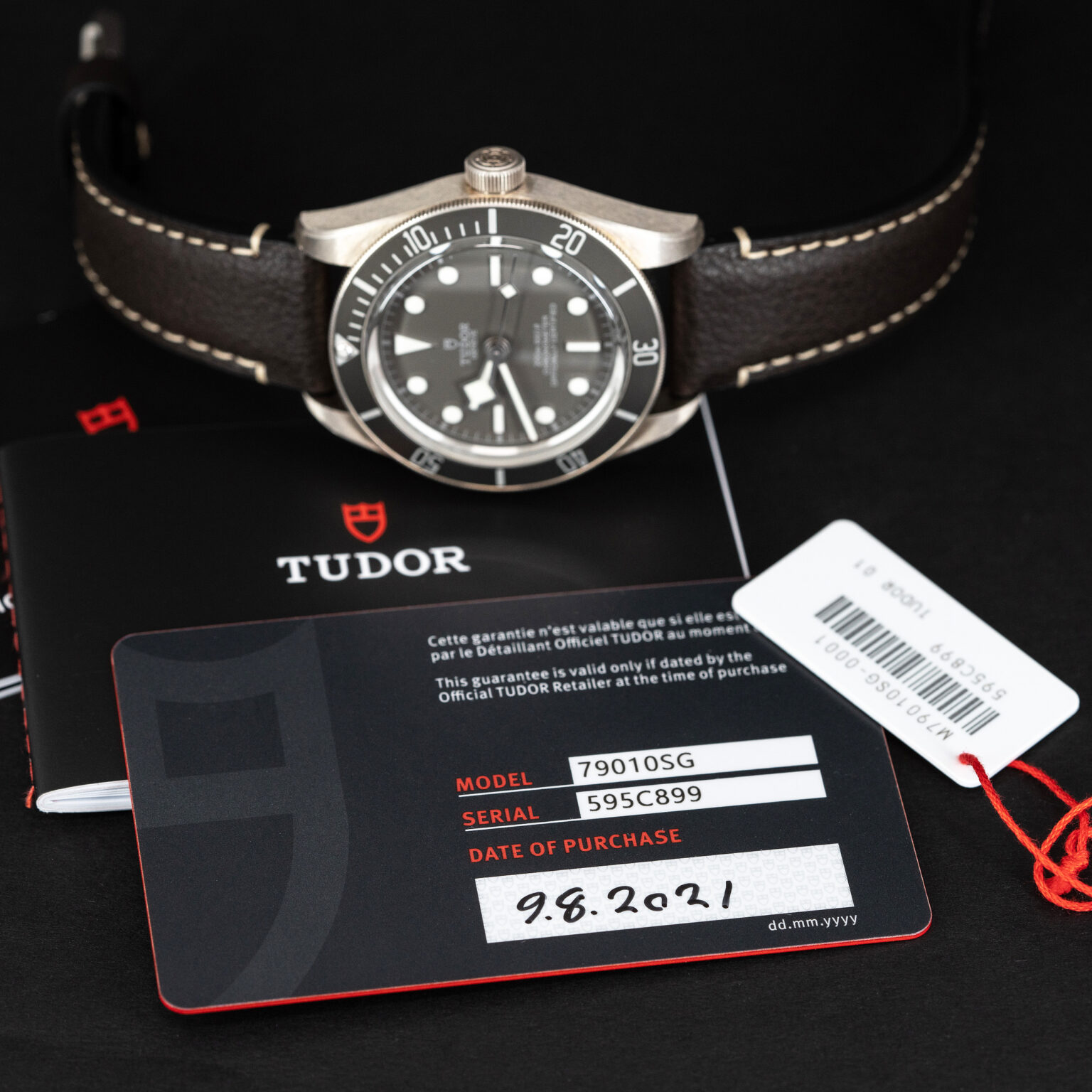 Tudor_BB58_Silver_79010SG_2021-9.jpg