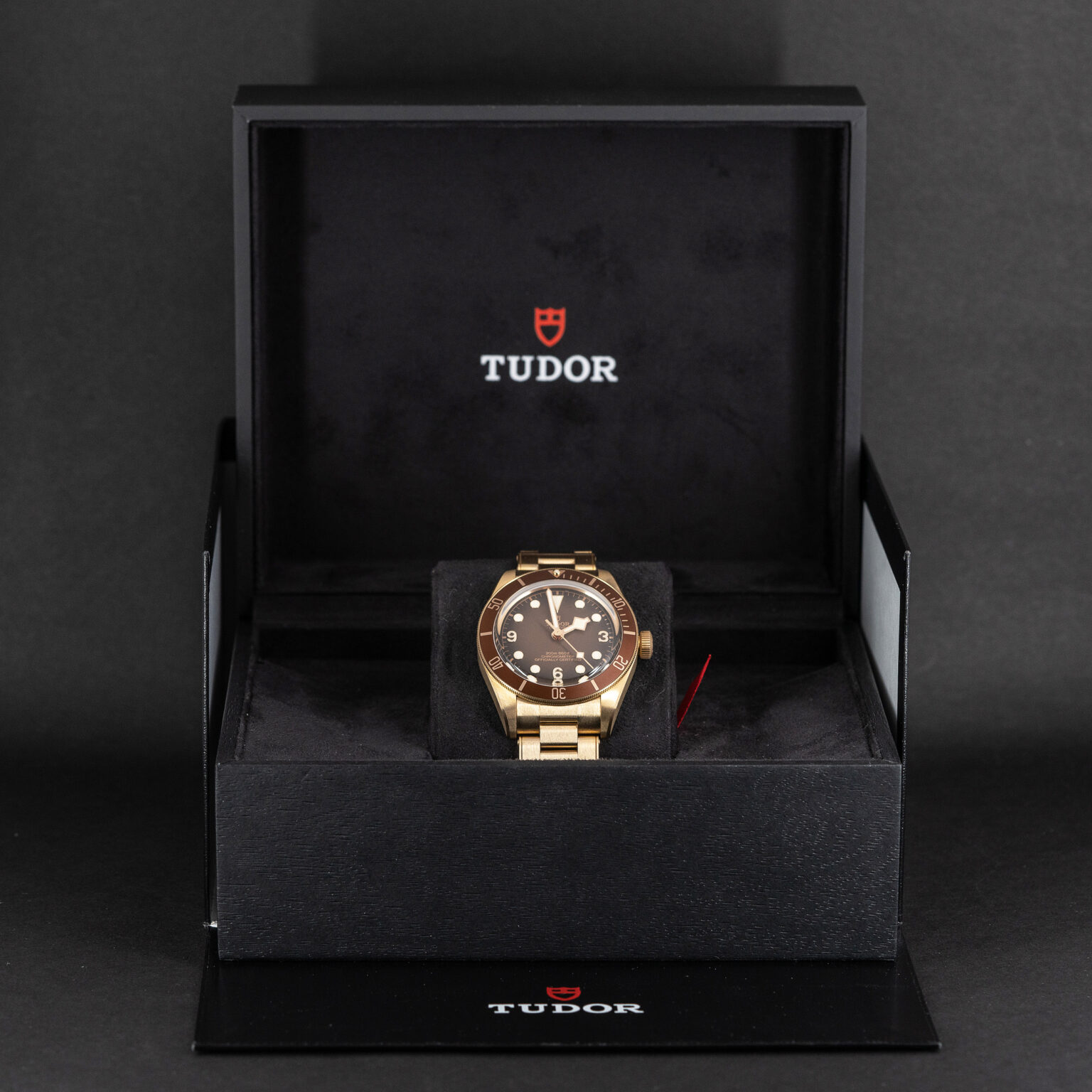 Tudor_Black-Bay_Bronze_2021.jpg