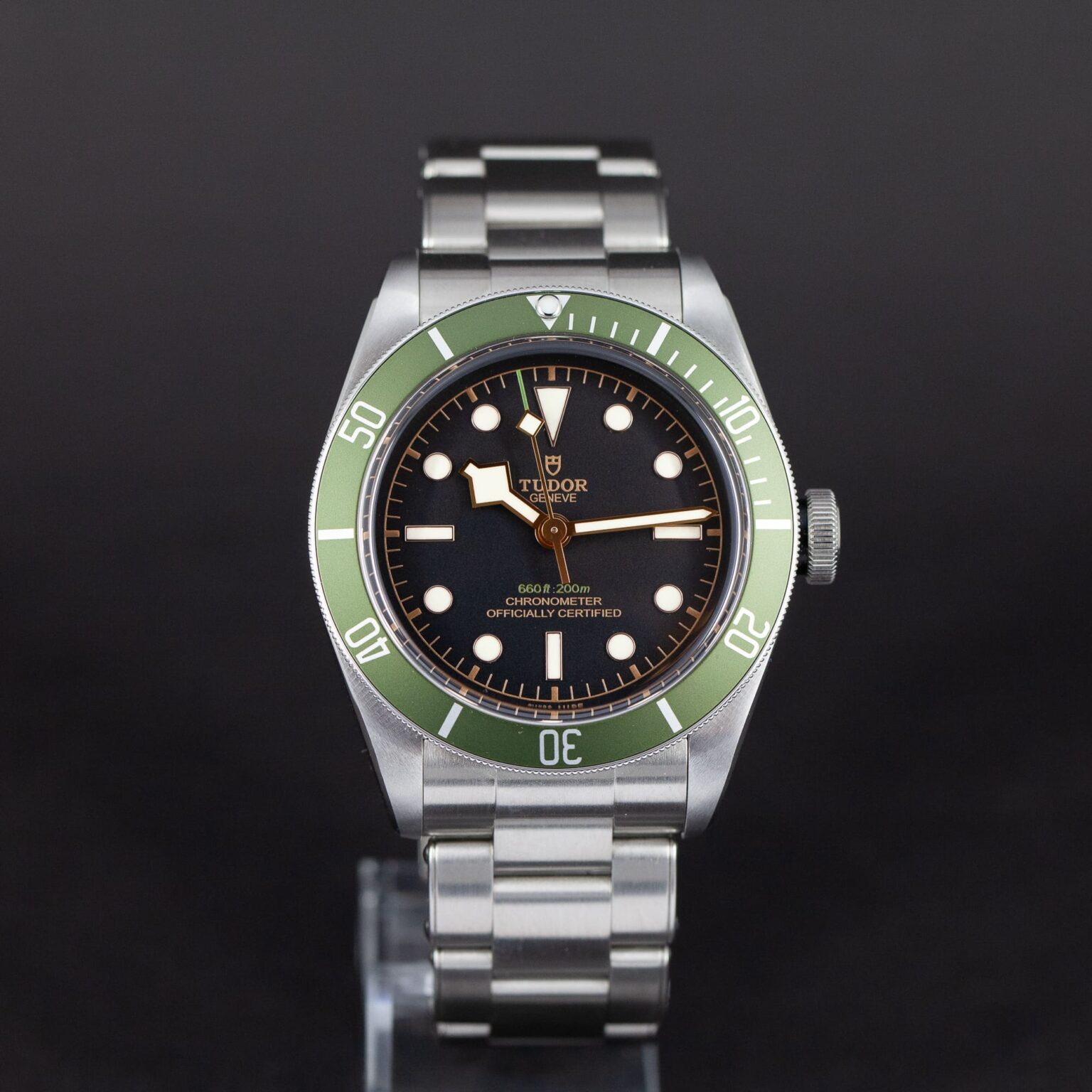 Tudor_Black_Bay_79230G_Harrods-5.jpg