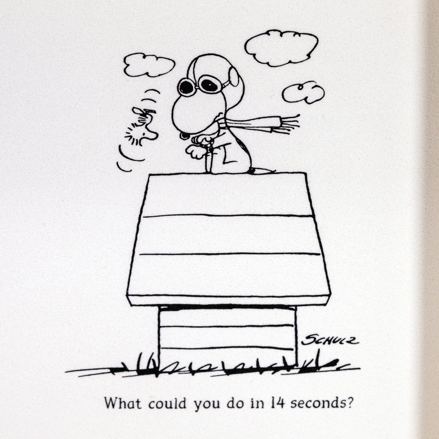 Omega-Speedmaster-50th-Silver-Snoopy-3