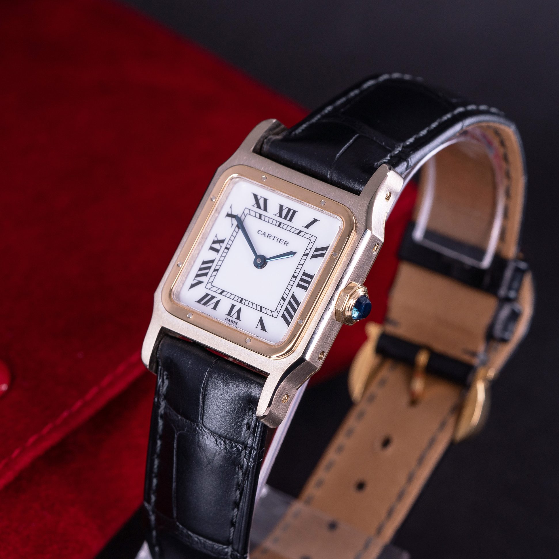 Cartier-Santos-Dumont-7822-7.jpg