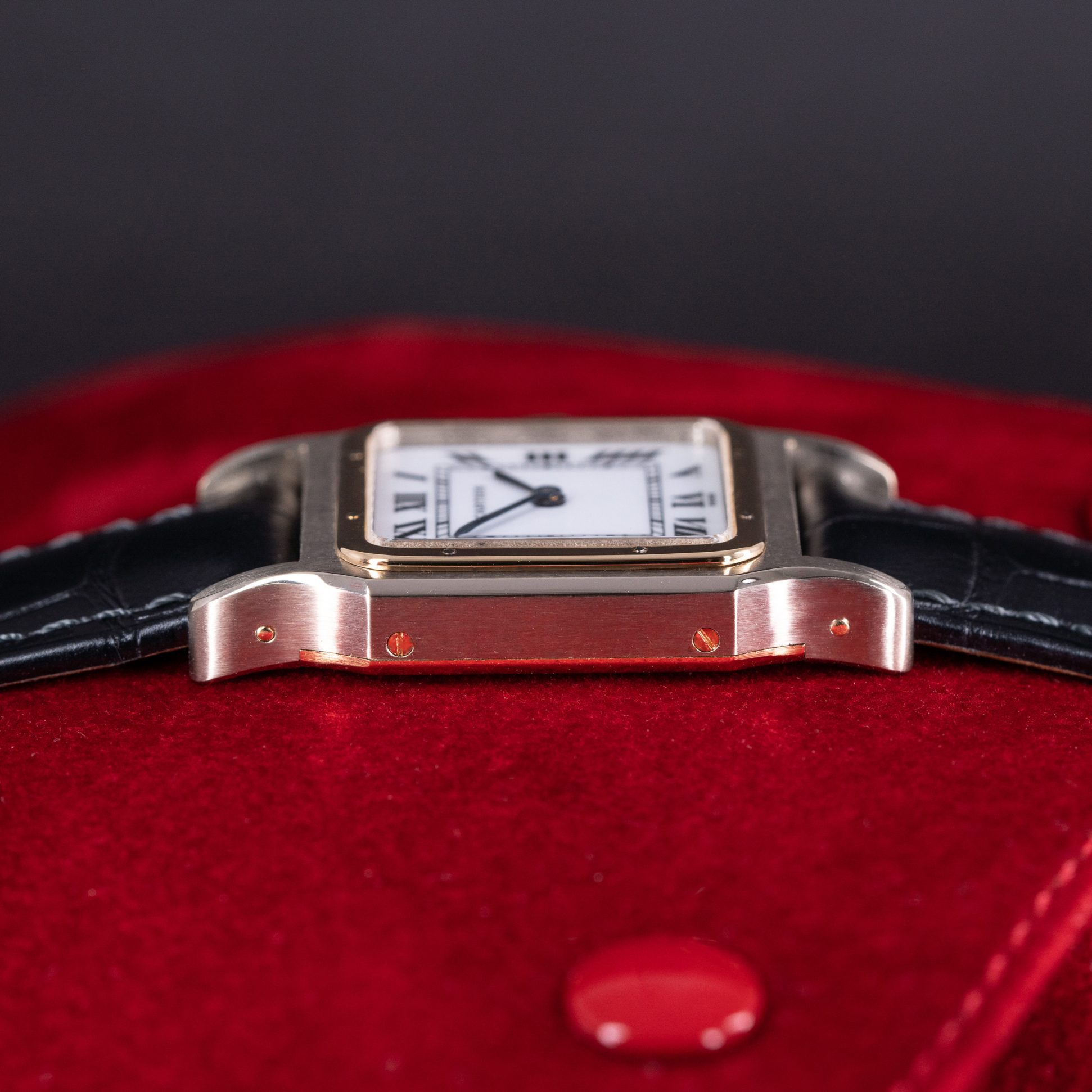 Cartier-Santos-Dumont-7822-9.jpg