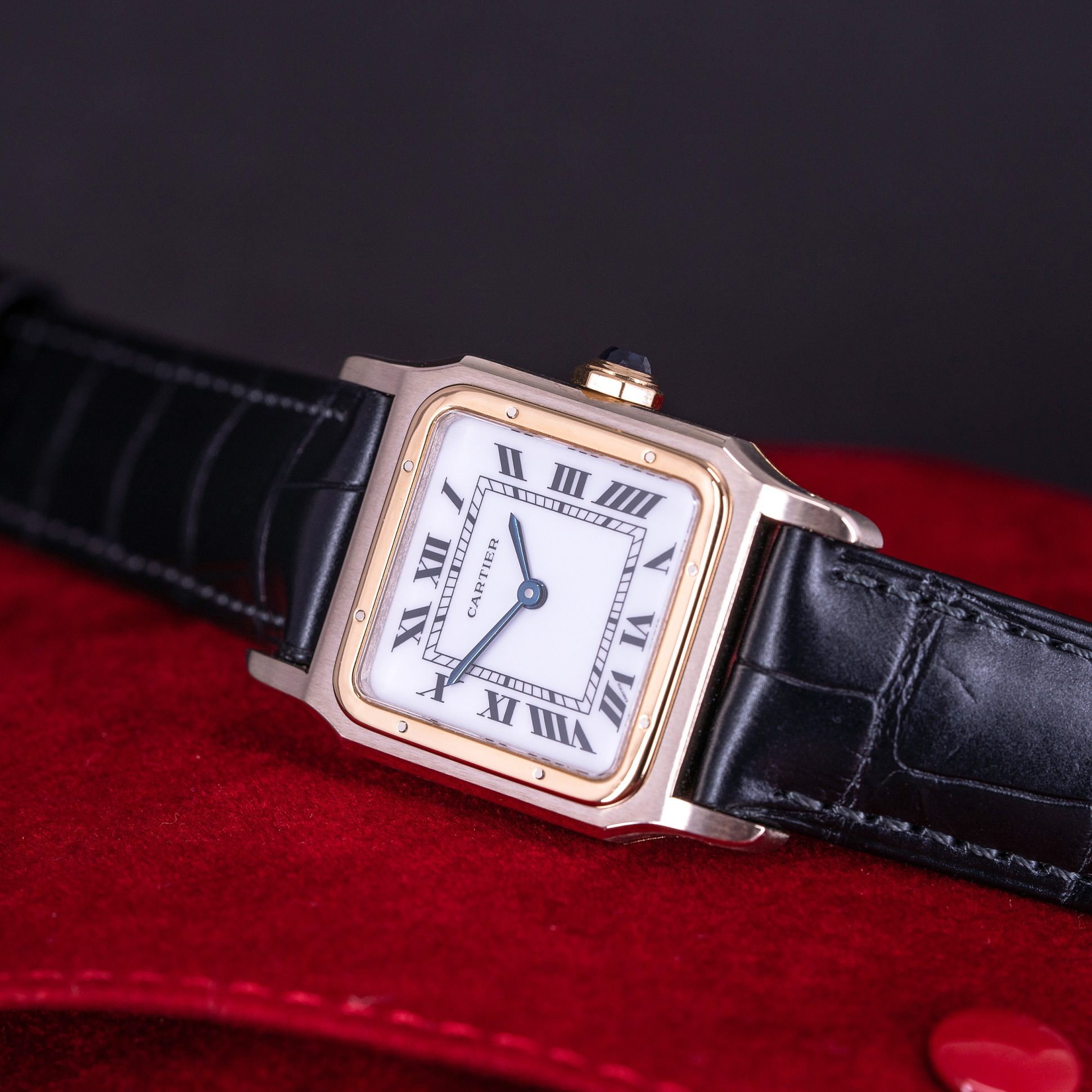 Cartier-Santos-Dumont-7822.jpg