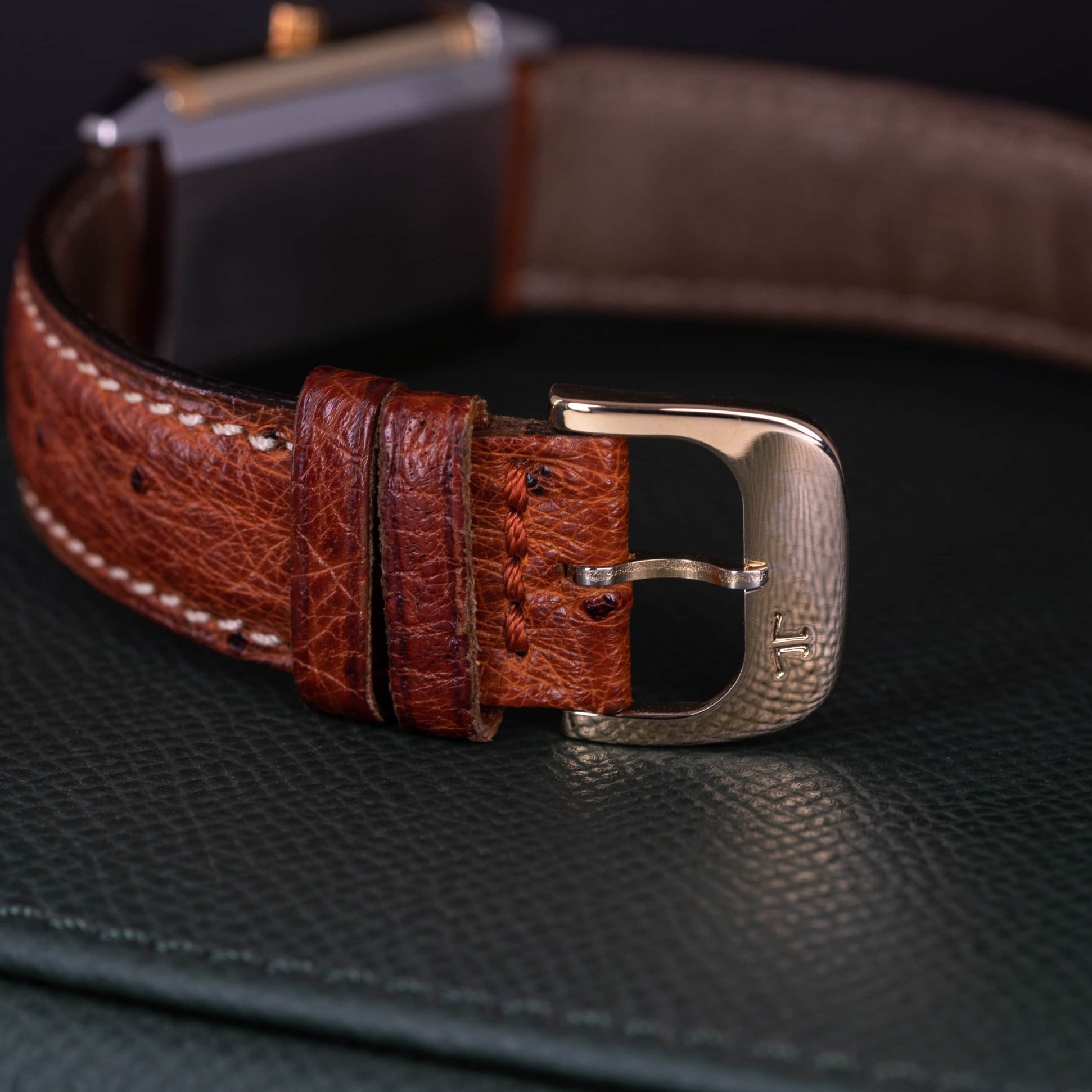 Jaeger-LeCoultre-Reverso-250.5.08-8.jpg