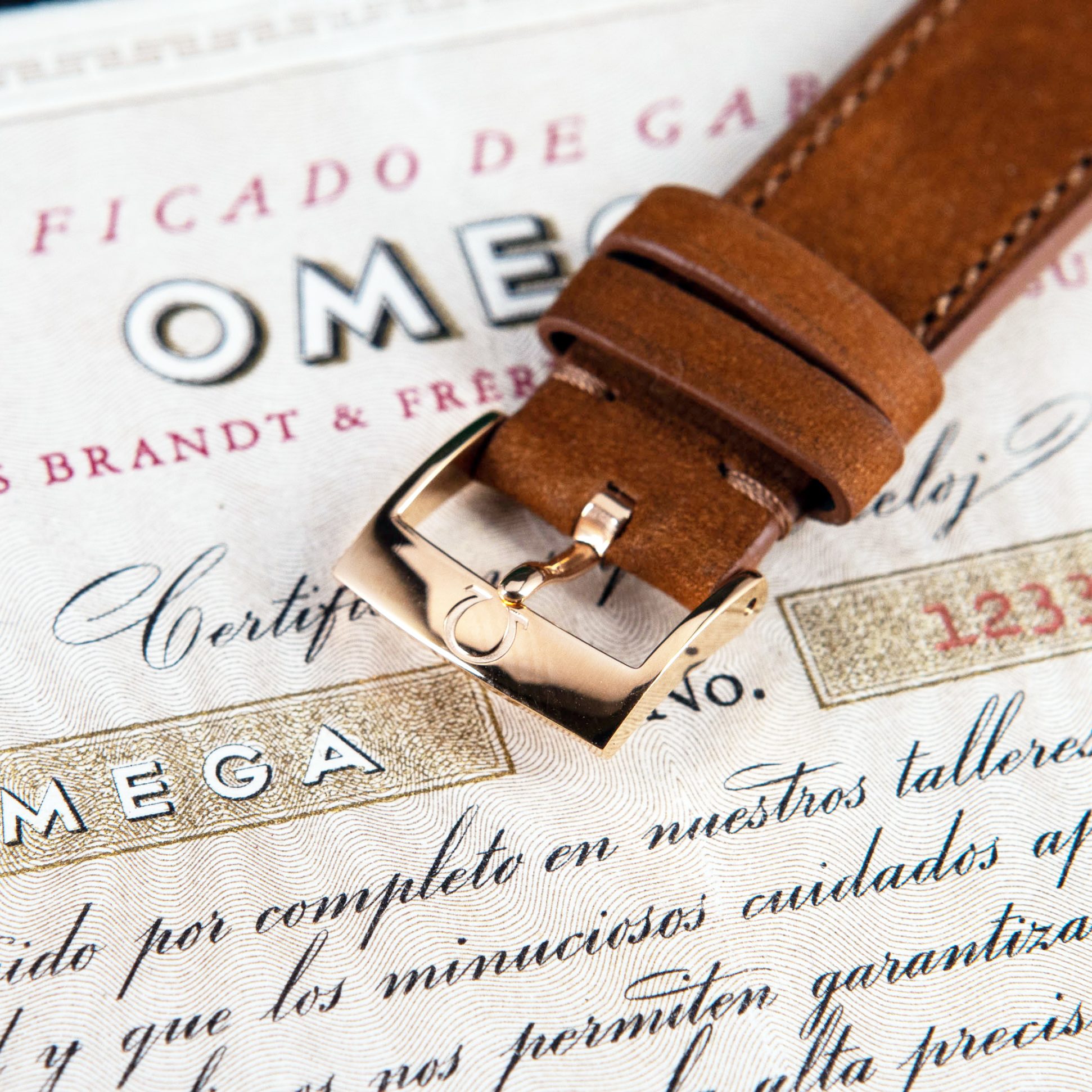 Omega_Automatic_18k_Buenos-Aires-2.jpg