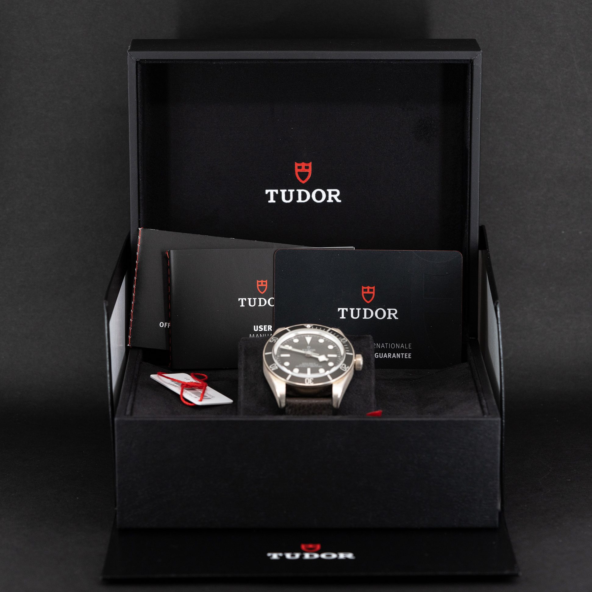 Tudor_BB58_Silver_79010SG_2021.jpg