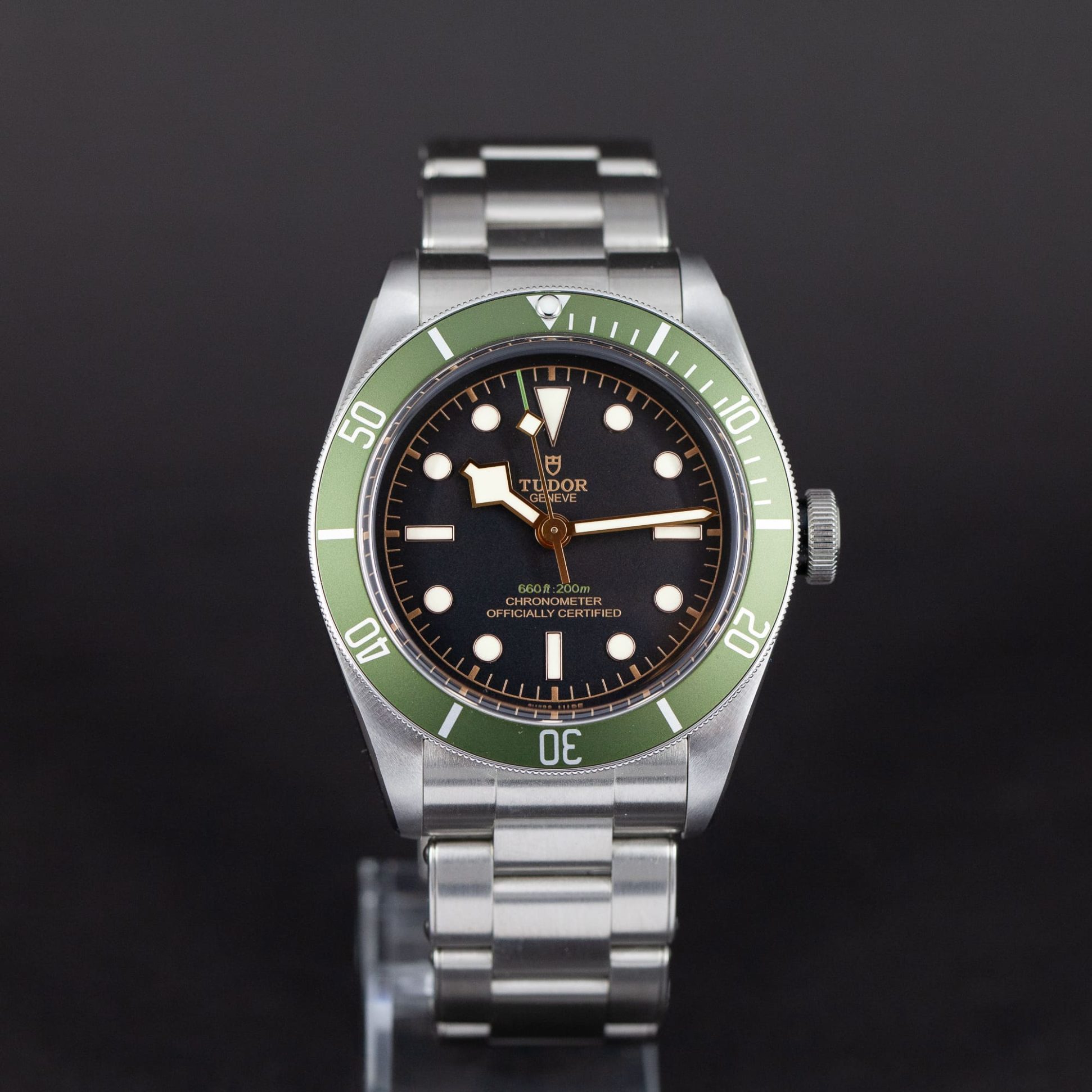 Tudor_Black_Bay_79230G_Harrods-5.jpg