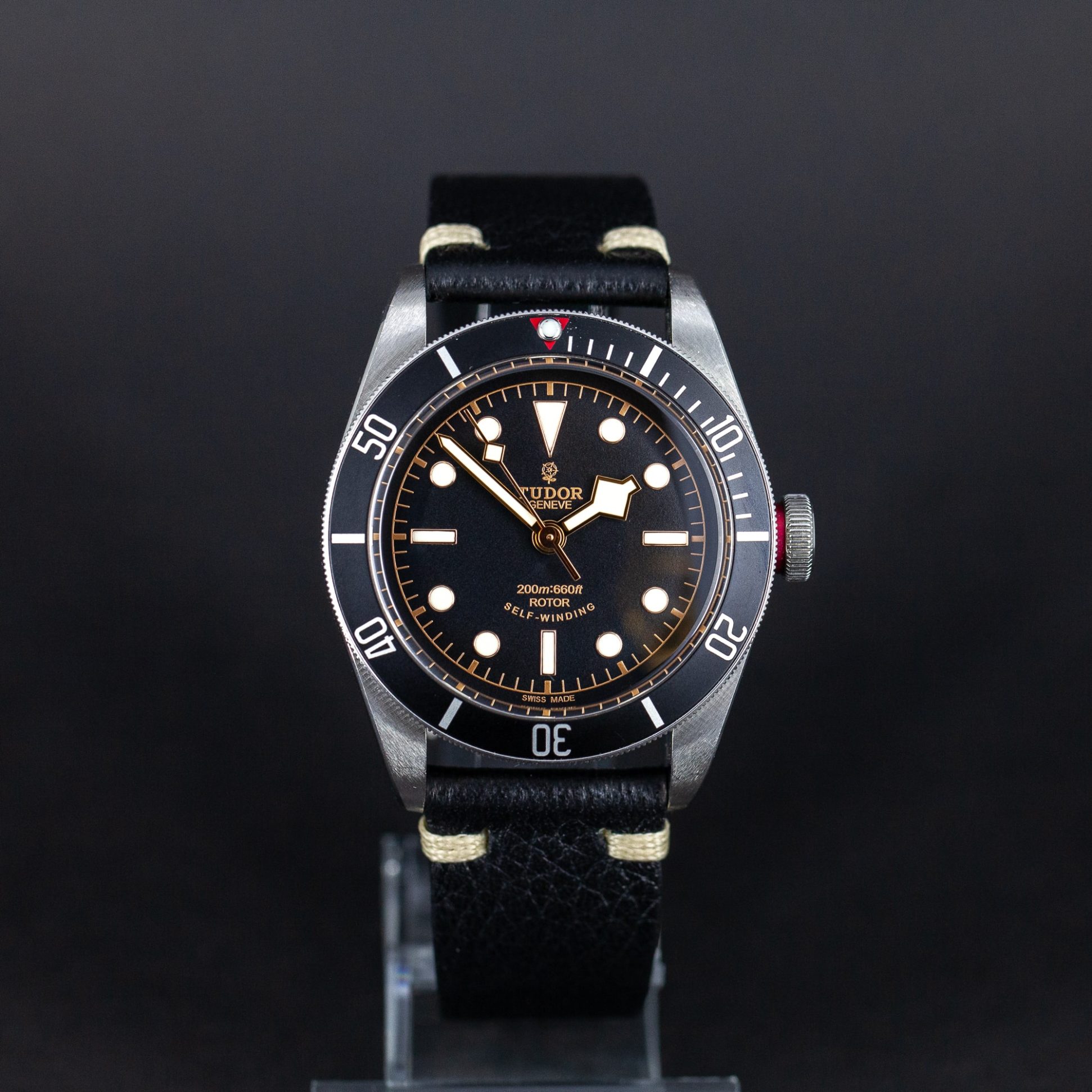 Tudor_Black_Bay_Heritage-3.jpg